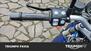 Bmw R 1200 R (2011 - 14) (26)