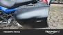 Bmw R 1200 R (2011 - 14) (15)