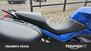 Bmw R 1200 R (2011 - 14) (18)