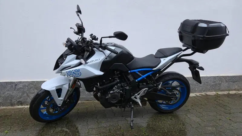 Suzuki GSX-8S (2023 - 24) (2)