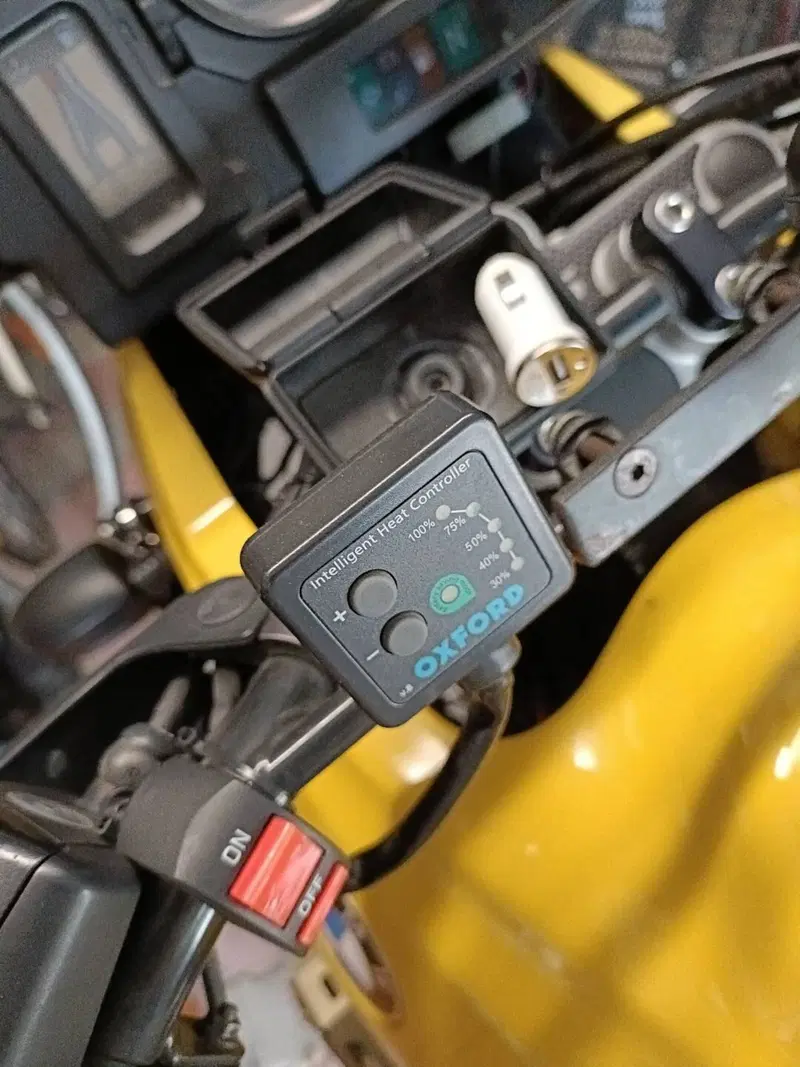 Bmw R 1150 GS (1999 - 03) (10)