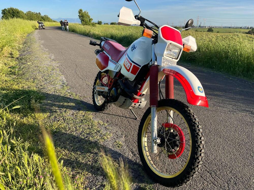 Yamaha XT 600 Tenere (2)