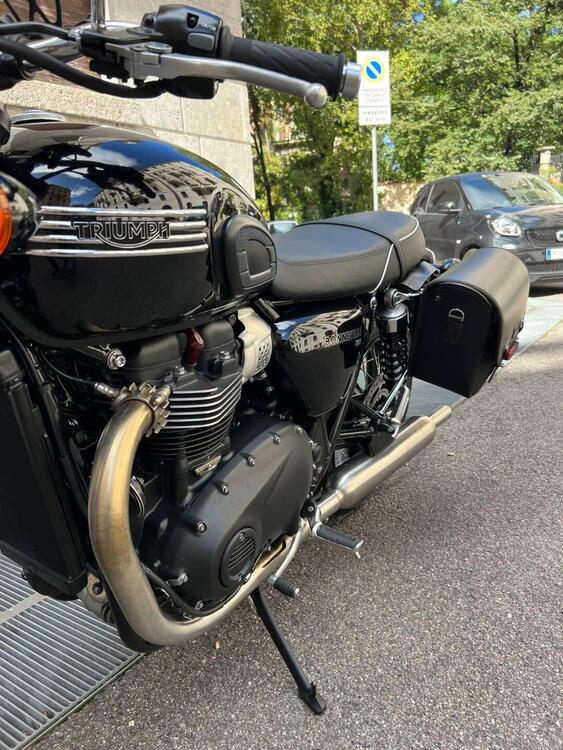 Triumph Bonneville T100 Gold Line Edition (2022) (5)