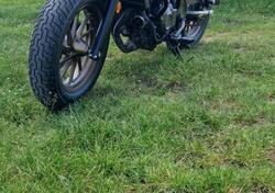 Honda CMX 500 Rebel (2022 - 24) usata