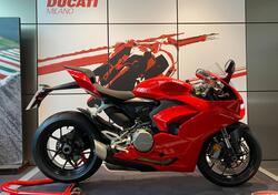 Ducati Panigale V2 955 (2020) usata