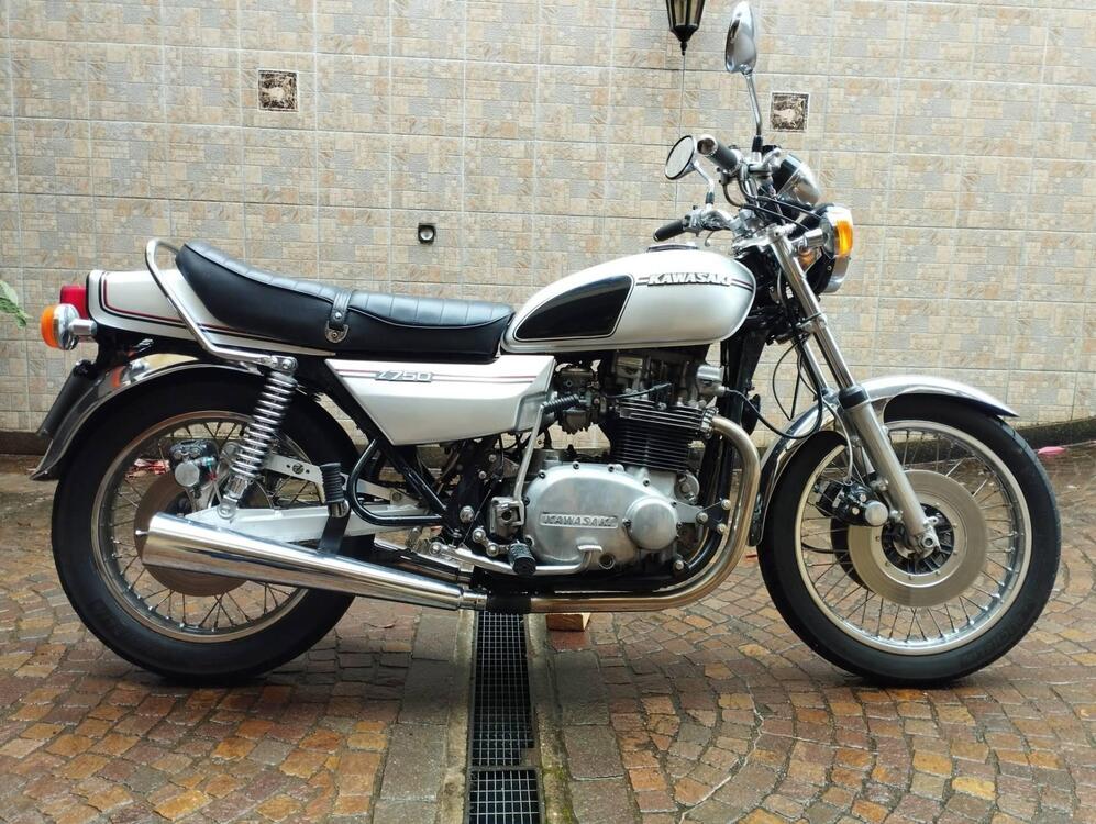 Kawasaki Z/B Twin  (3)