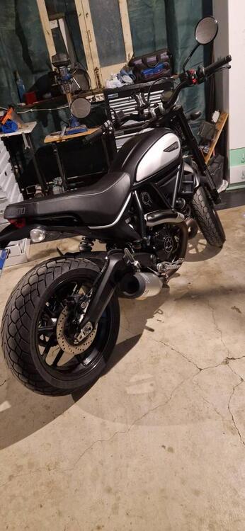 Ducati Scrambler 800 Icon (2021 - 22) (5)