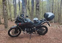 Honda Transalp XL750 Urban (2023 - 24) usata