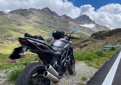 Suzuki SV 650 X - Ter (2018 - 20) usata