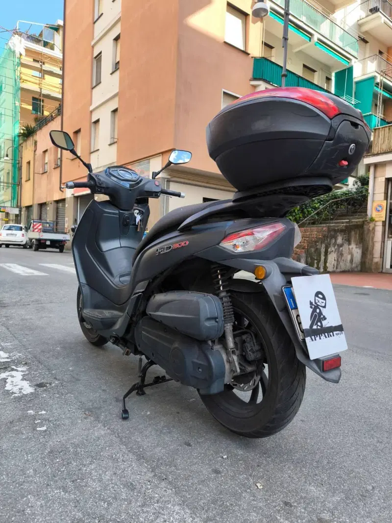 Sym HD 300 (2019 - 20) (5)
