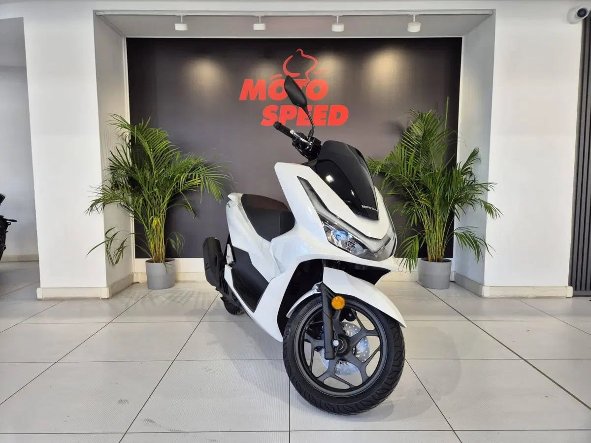 Honda PCX 125 (2025 - 26) (3)