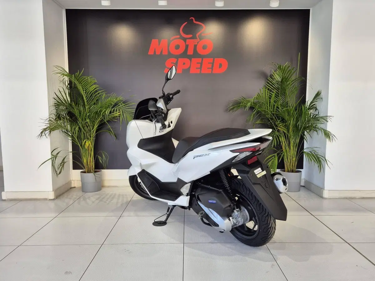 Honda PCX 125 (2025 - 26) (4)