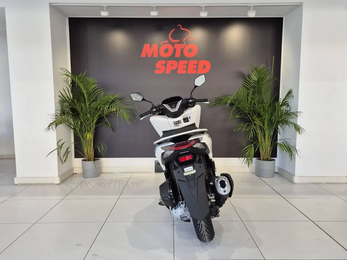 Honda PCX 125 (2025 - 26) (5)