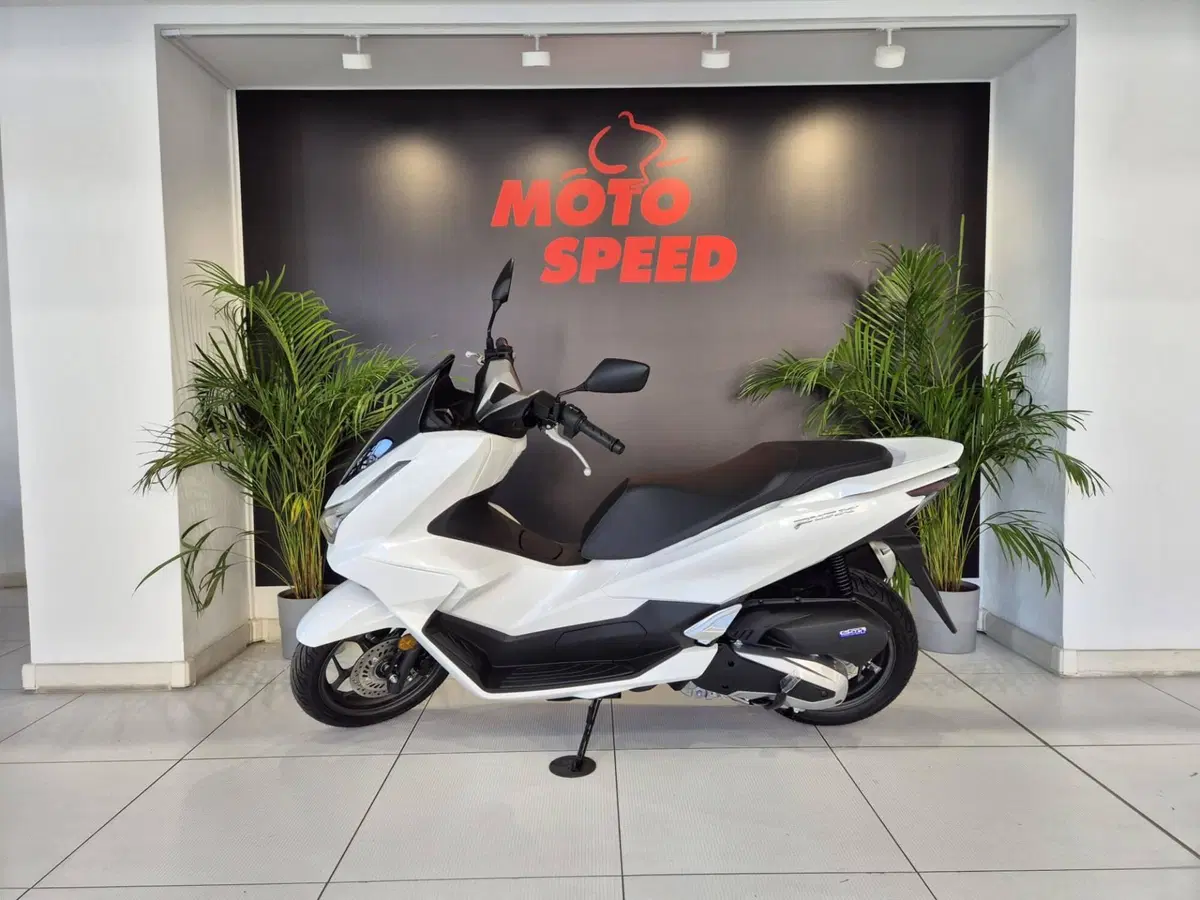 Honda PCX 125 (2025 - 26) (2)