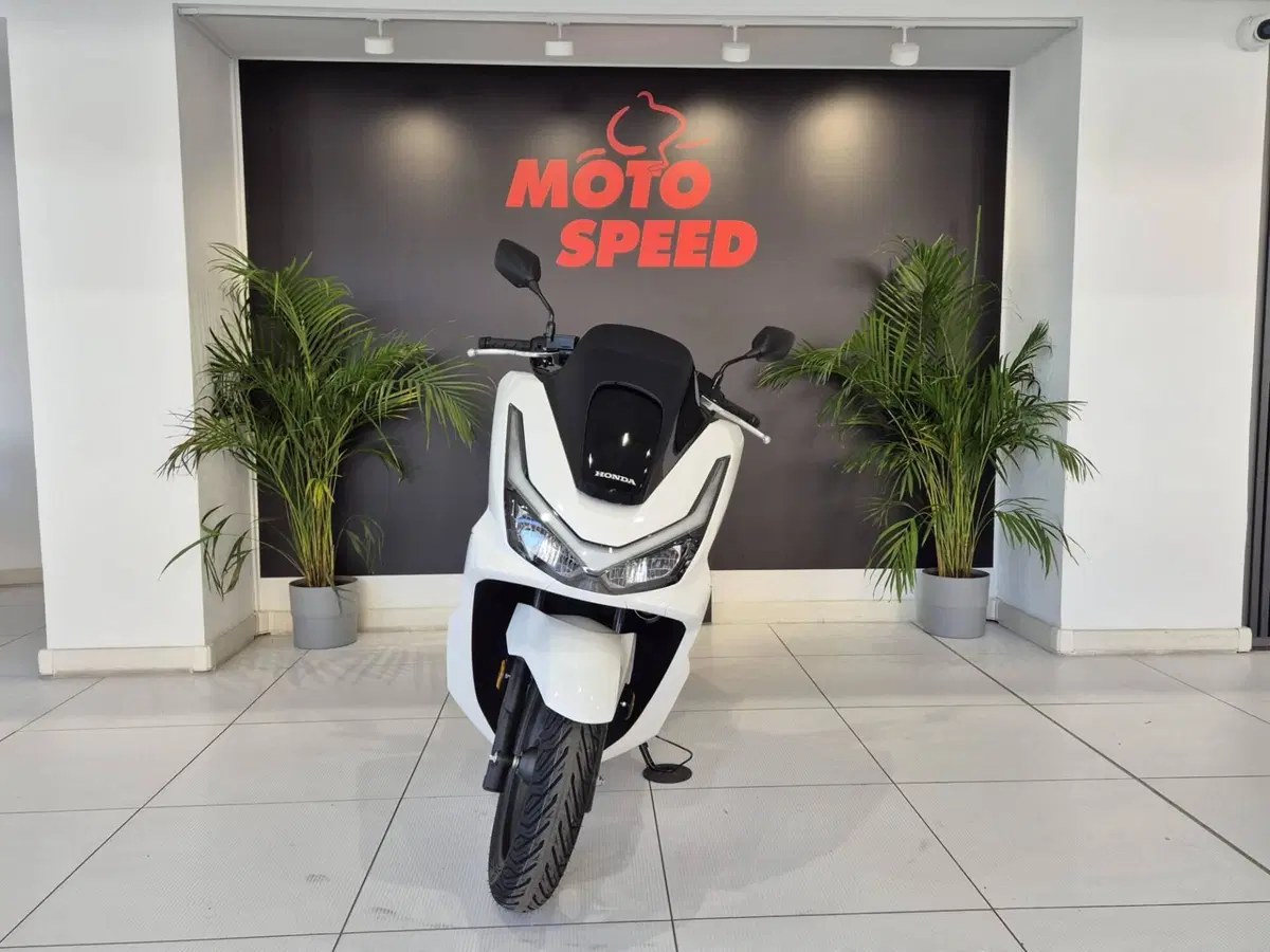 Honda PCX 125 (2025 - 26) (6)