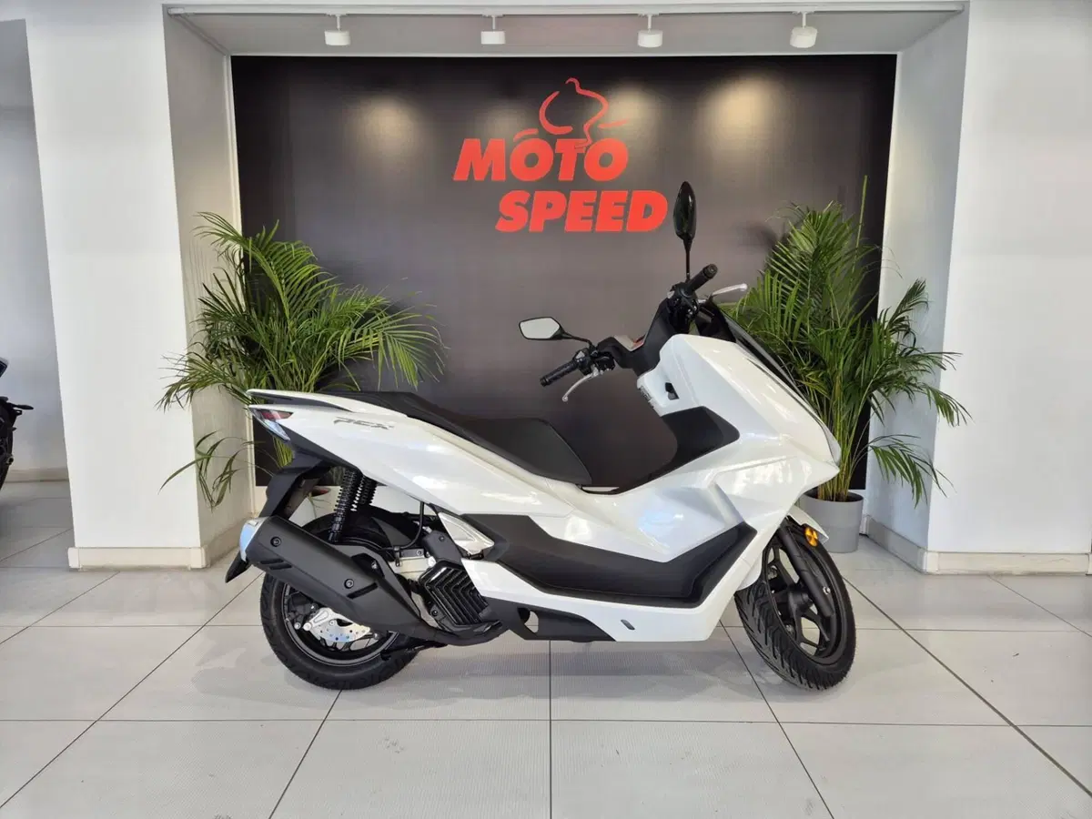 Honda PCX 125 (2025 - 26)