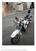 Honda VT 750 C2 Shadow (1998 - 03) (6)