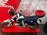Honda Africa Twin NXR 750 (1990 - 91) (6)