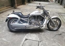 Harley-Davidson 1130 V-Rod (2002 - 05) - VRSCA usata