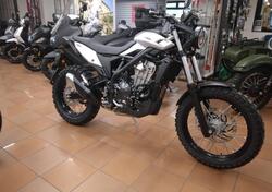 Betamotor Alp X (2024 - 25) nuova