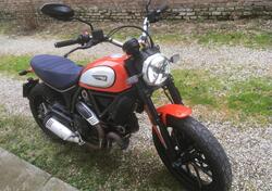 Ducati Scrambler 800 Icon (2017 - 20) usata