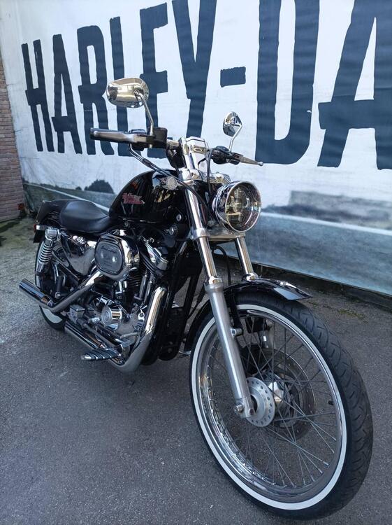 Harley-Davidson 1200 Custom (2001 - 03) - XL 1200C (2)