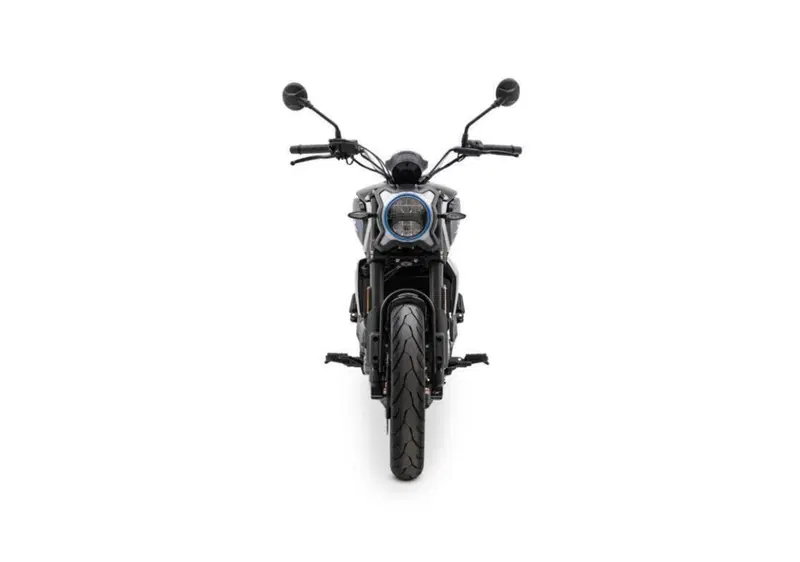 CFMOTO 300CL-X Heritage (2023 - 26) (3)
