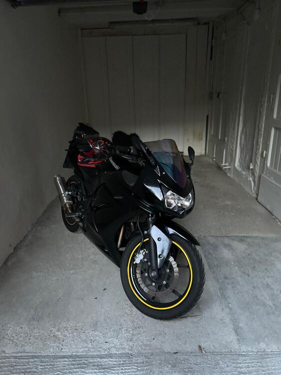 Kawasaki Ninja 250 R (2007 - 13) (4)