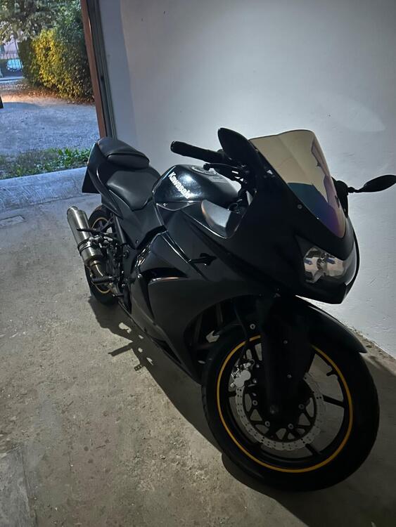 Kawasaki Ninja 250 R (2007 - 13) (5)