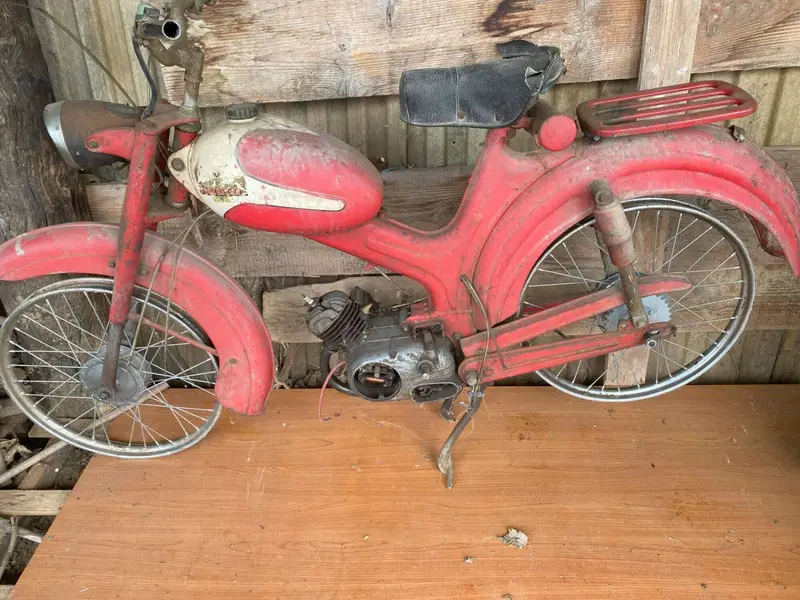 Bianchi falco