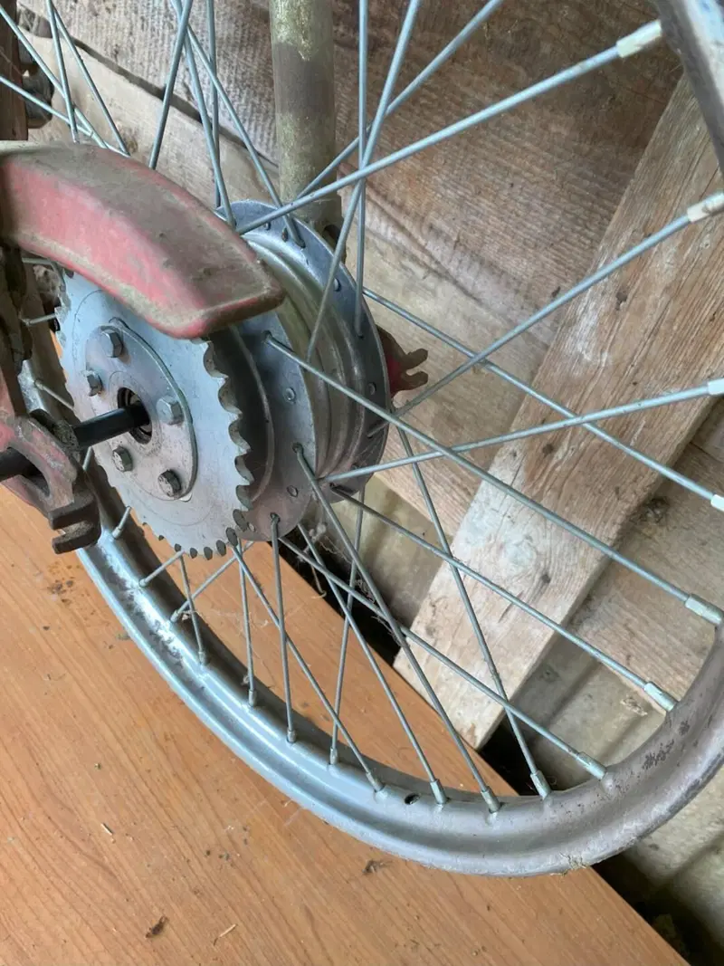 Bianchi falco (2)