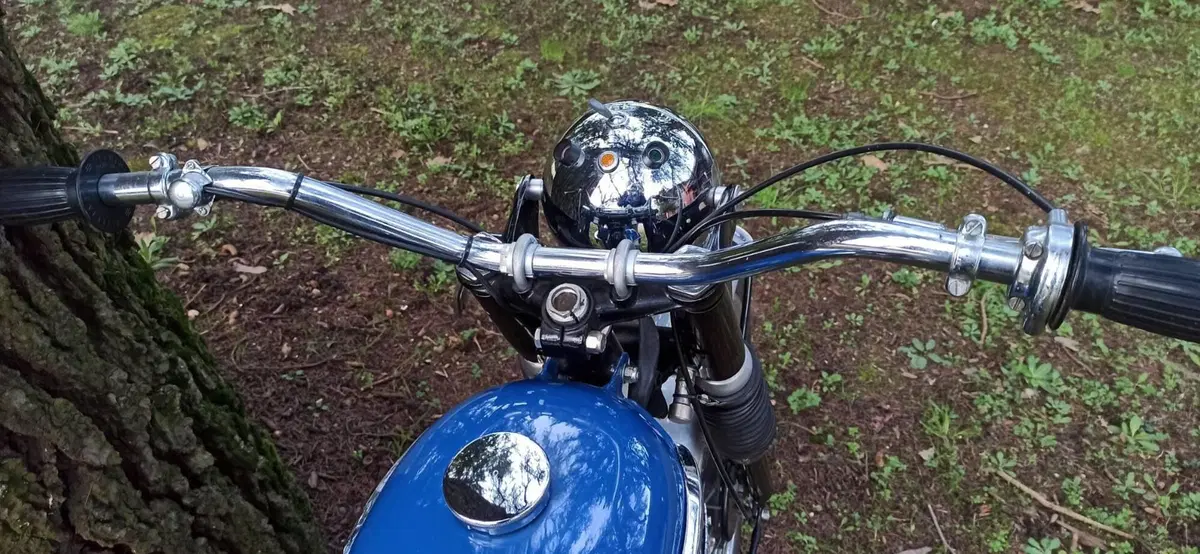 Triumph Tiger Cub 200 (4)