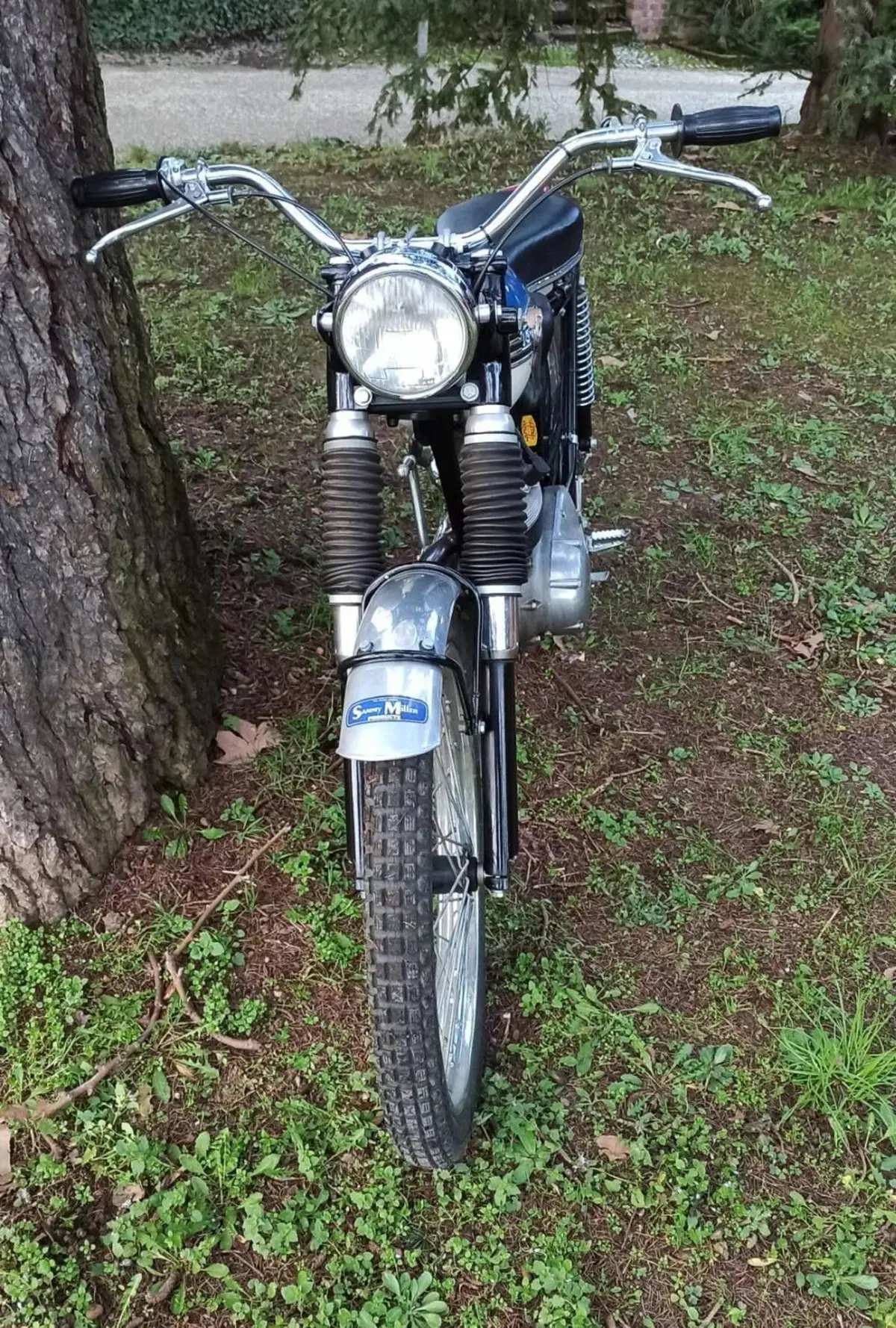Triumph Tiger Cub 200 (6)