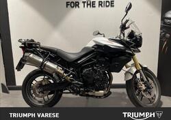 Triumph Tiger 800 (2010 - 14) usata