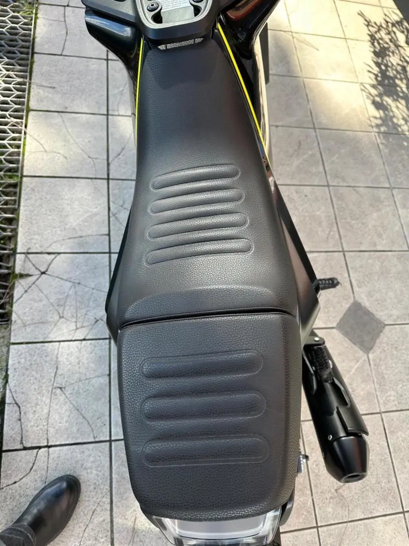 Husqvarna Svartpilen 401 (2018 - 19) (8)