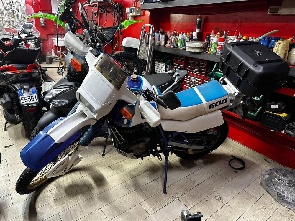 Suzuki DR600 R Djebel