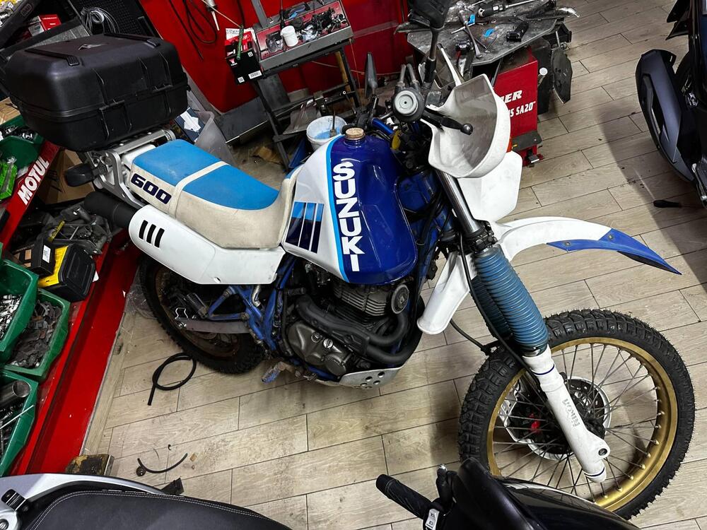 Suzuki DR600 R Djebel (2)