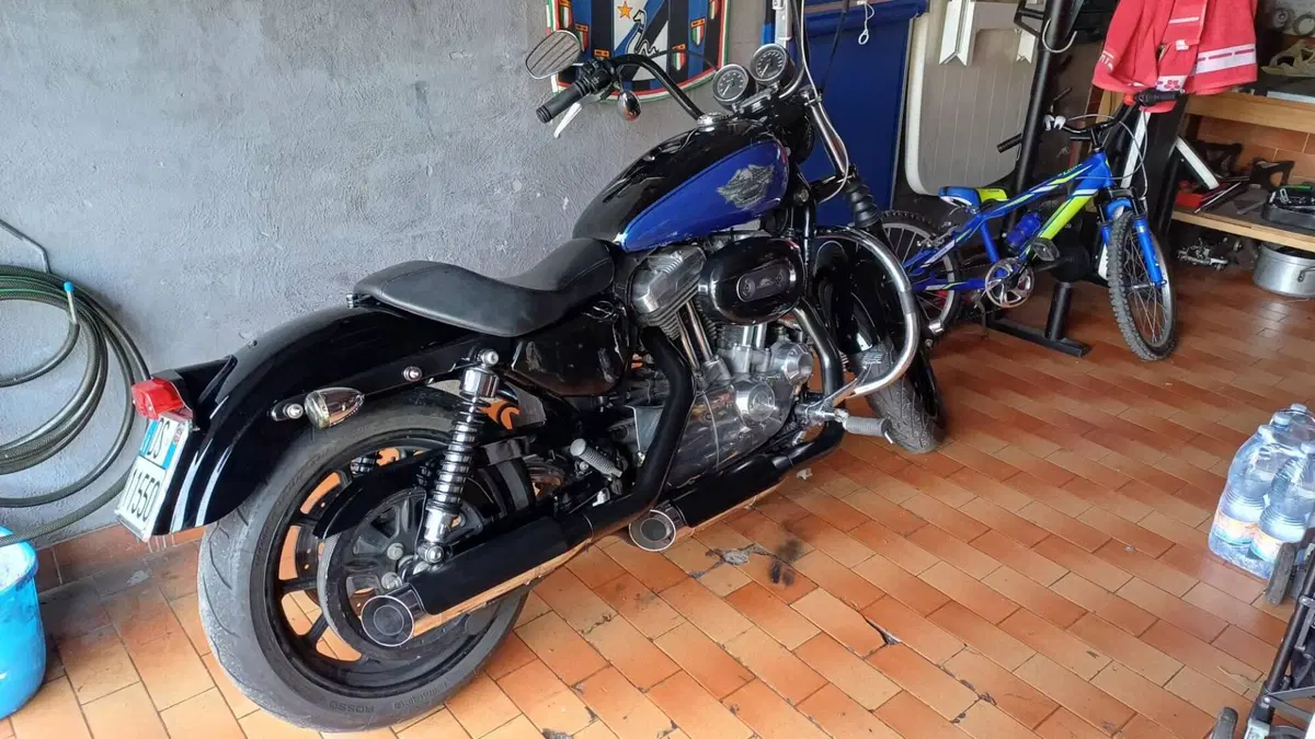 Harley-Davidson 883 Low (2008 - 12) - XL 883L (3)