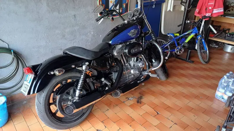 Harley-Davidson 883 Low (2008 - 12) - XL 883L (3)