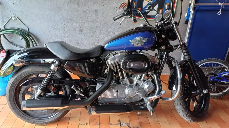 Harley-Davidson 883 Low (2008 - 12) - XL 883L (4)