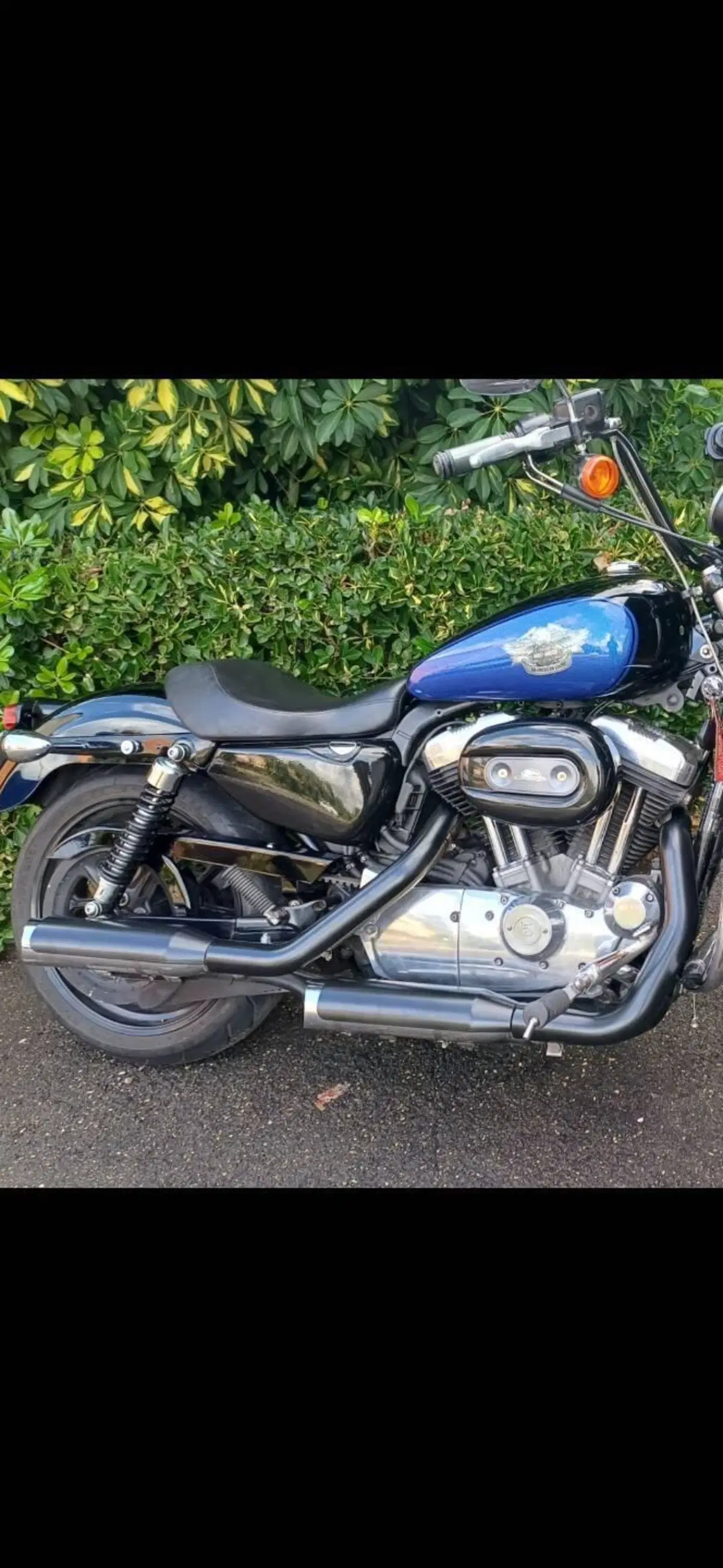 Harley-Davidson 883 Low (2008 - 12) - XL 883L (5)