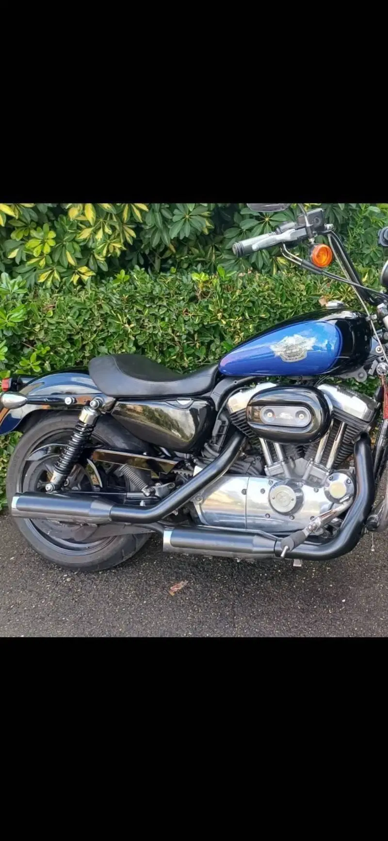 Harley-Davidson 883 Low (2008 - 12) - XL 883L (5)