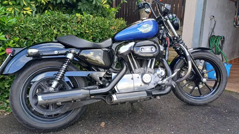 Harley-Davidson 883 Low (2008 - 12) - XL 883L (6)