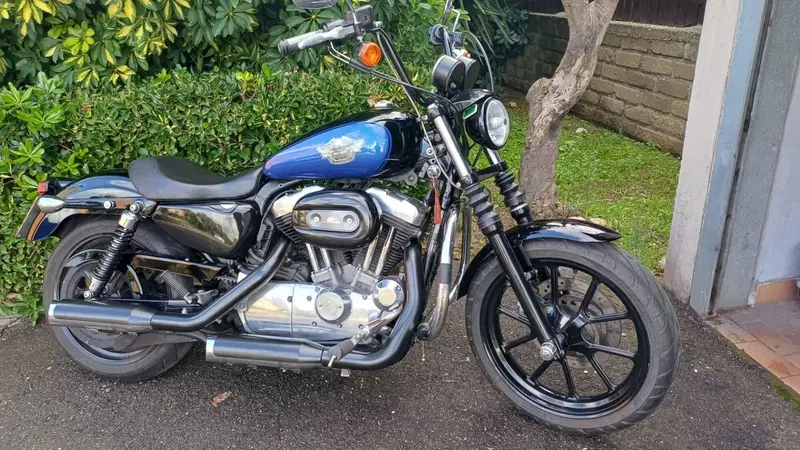 Harley-Davidson 883 Low (2008 - 12) - XL 883L (7)