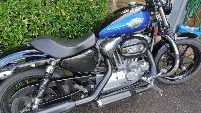 Harley-Davidson 883 Low (2008 - 12) - XL 883L (8)
