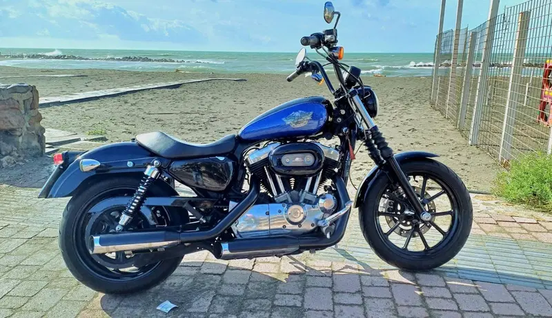 Harley-Davidson 883 Low (2008 - 12) - XL 883L (2)