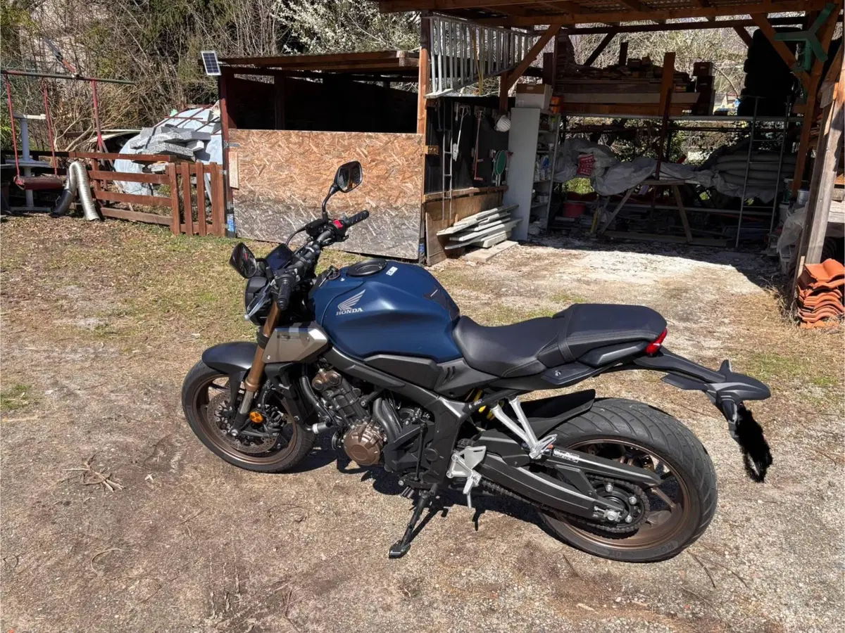 Honda CB 650 R (2019 - 20)
