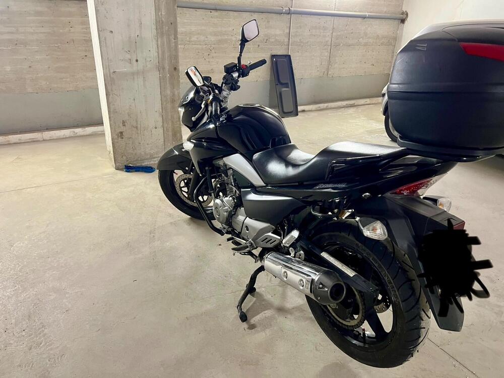 Suzuki Inazuma 250 (2012 - 17) (4)