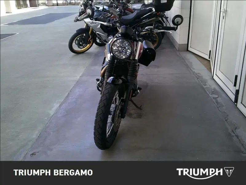 Triumph Street Scrambler 900 (2021 - 22) (5)