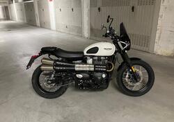 Triumph Street Scrambler 900 (2021 - 22) usata